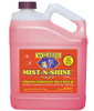 Wizards Products Mist-N-Shine 1 Gallon  01217