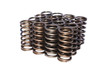 Comp Cams .937 Dia. Inner Valve Springs- .697 Id. 974-16