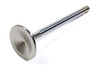 Ford Exhaust Valve  M-6505-A429