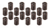 Edelbrock 1.460 Valve Spring Set 16 5845