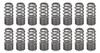 Pac Racing Springs 1.031 Rpm Series Valve Springs - Beehive (16) Pac-1281X-16