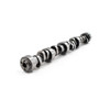 Brian Tooley Racing Gen 3 & 4 Ls Stage 1 V2 Truck Cam Btr-30612120