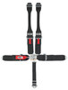 Crow Safety Gear 5-Way L&L 52In Lap Belt- Indiv Db Harness B/I Wit 11004Dbs