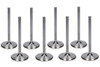 Ferrea Sbc C/P 2.125 Intake Valves F1241P-8