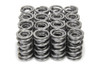 Isky Cams 1.570 Dual Valve Spring Set W/Damper (16Pk) 9987Radml