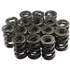 Pac Racing Springs 1.625 Dual Valve Springs (16) Pac-1224-16