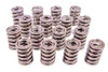 Pac Racing Springs 1.545 Dual Valve Springs (16) Pac-1294-16
