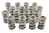 Pac Racing Springs 1.667 Triple Valve Springs (16) Pac-1351H-16