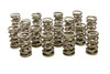 Pac Racing Springs 1.564 Dual Valve Springs (16) Pac-1386-16