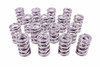 Pac Racing Springs 1.574 Dual Valve Springs (16) Pac-1396-16