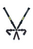 Schroth Racing 6Pt Harness Profi 2X2 Pull-Down Lap Sr 91152Pd O-6