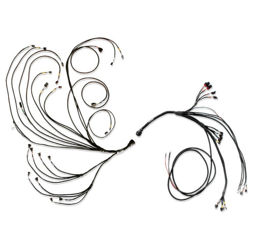 Fueltech Usa Pro600 Ford V8 Complete Harness 3026100077