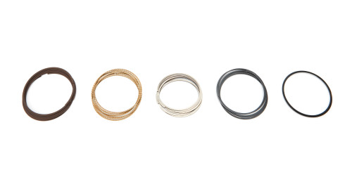 Total Seal Ap Steel Gpls Ring Set 3.776 Bore 1.0 1.0 3.0Mm Ms1123776