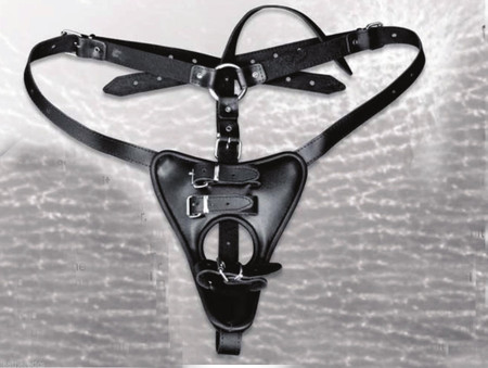 Ausgebreiteter Vollnarbenleder-Harness mit Ringöffnung und silberfarbenen Beschlägen
