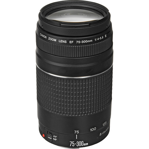 Canon EF 75-300mm F/4-5.6 Mk III Lens