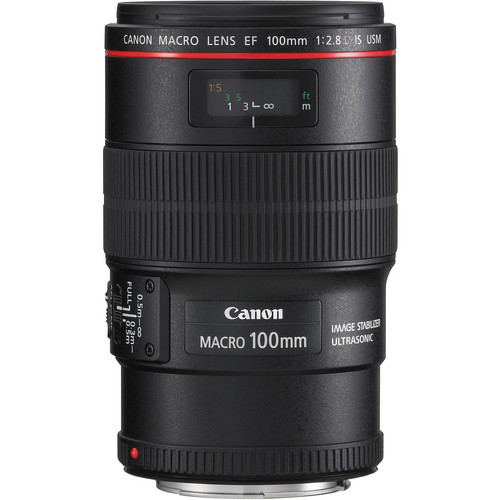 Canon EF 100mm F/2.8L IS USM Macro Lens