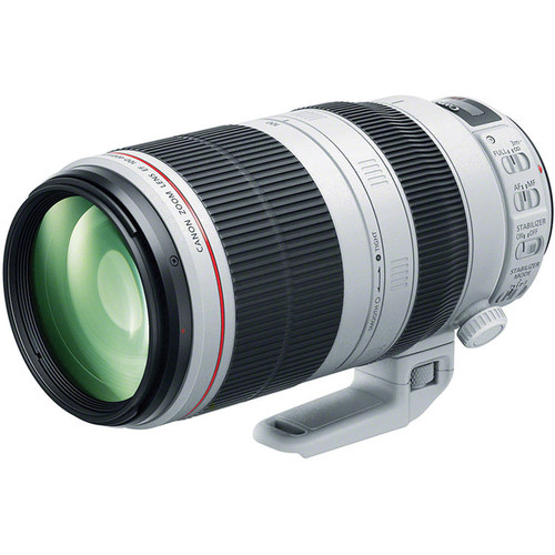 Canon EF 100-400mm f/4-5.6 L IS II USM Lens