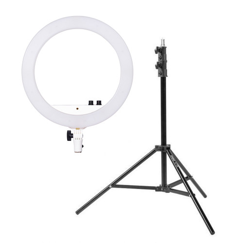 Nanlite Halo 14 - White Edition SJD Ring Light with Light Stand Kit