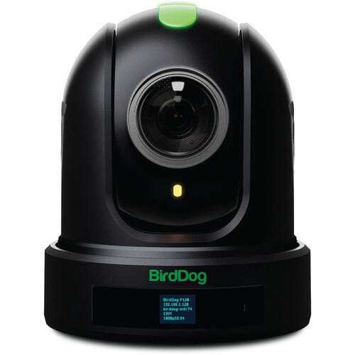 BirdDog P110 PTZ Camera - Black