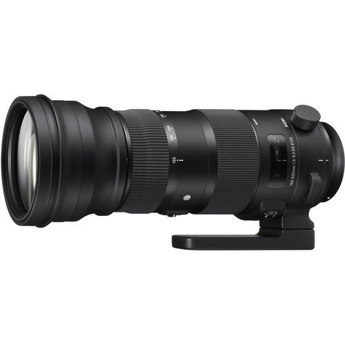 Sigma 150-600mm f5-6.3 EX DG HSM OS (Sport) FOR NIKON