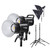 Godox SL60IIDaylight LED Video Light Kit with Stand & Softbox - Dual Kit