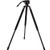 E-Image 771CT Carbon Tripod Legs for 75/100mm Video Bowl Head