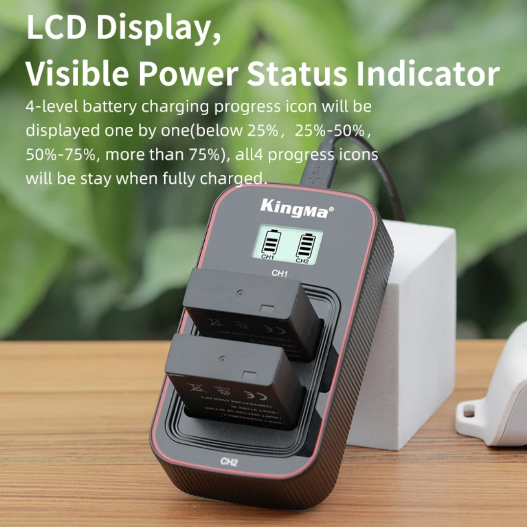 Caricabatterie Rapido USB Batmax Per Panasonic DMW-BLG10, BLE9. Doppia Slot Con Display LED Per Fotocamere Lumix. - 3
