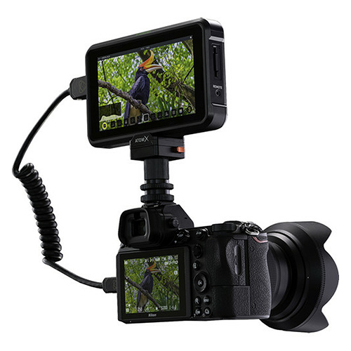 atomos-on-camera.jpg