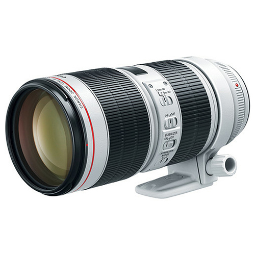 canon-lenses-wildlife.jpg