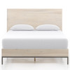 Trey Dove Solid Wood Platform Bed