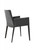 Tiffany Leather Dining Arm Chair