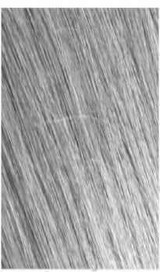 Megix10 Megix10 Ash 100ml