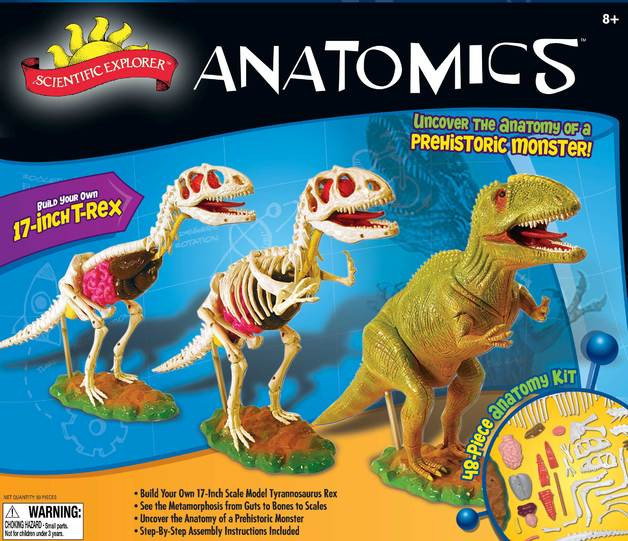 Scientific Explorer Anatomics 17