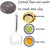 Kitchen Utensils Potato Masher For Potato Ricer Baby Food Best Kitchen Tools Stainless Steel Dishwasher Safe (Wavy)