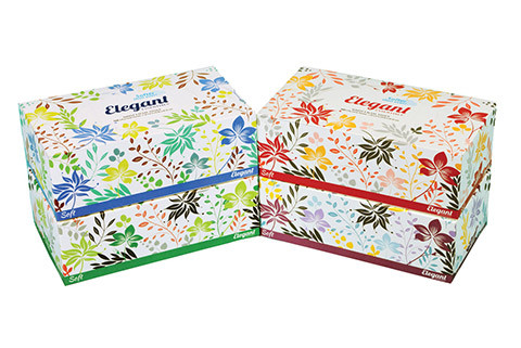 Elegant Facial Tissue Flat Box, 160 ct