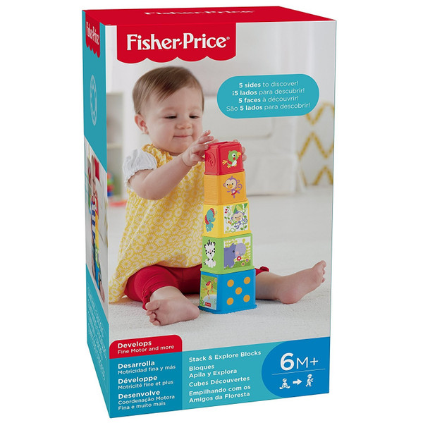 Fisher Price Stack 'n Explore Blocks