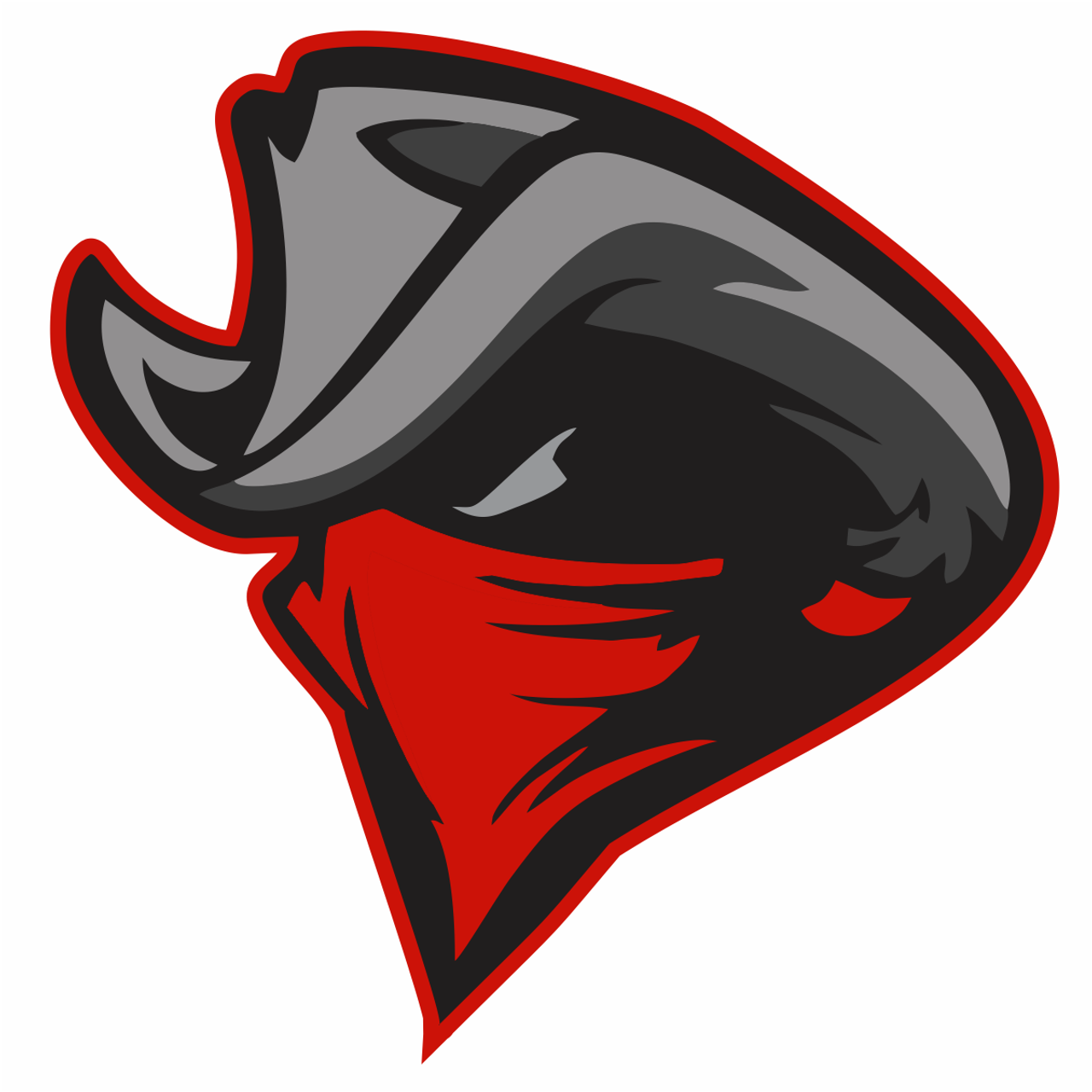 Cincinnati Outlaws