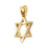 Star of David Yellow Gold Diamond Cut Charm Pendant Mens / Womens