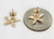 how to buy Yellow Gold Starfish Sea Life Ocean Summer Stud Earrings PushBack online