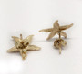Yellow Gold Starfish Sea Life Ocean Summer Stud Earrings PushBack