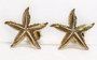 14k Solid Yellow Gold Starfish Sea Life Ocean Summer Stud Earrings PushBack 14MM
