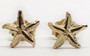 14k Real Yellow Gold Starfish Sea Life Ocean Summer Stud Earrings Push Back 7MM