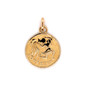 buy Solid Yellow Gold Aquarius Zodiac Sign February Birth