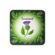 Shop Flower of Scotland Wood Hardboard Online On Scottishwebstore.com