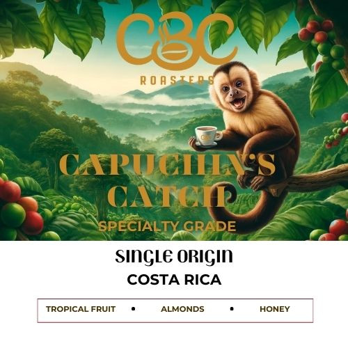 Capuchin's Catch Costa Rican specialty grade coffee bag CBC Roasters Arlington Heights