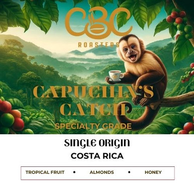 Capuchin's Catch Costa Rican Coffee | Specialty Grade | Arlington