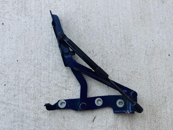 Ford Passenger Trunk Hinge with Strut - Sal11195