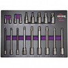 Mayhew Tools 16066F Triple Square Master Socket Bit Set, 18-piece, S2 Tool Steel
