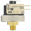 Dwyer A9-5 Snap-Action Pressure Switch (29 to 87 psig)
