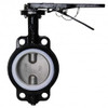 Dwyer WE20-EHD00-WP Manual Wafer Style Butterfly Valve (5") with PTFE Liner